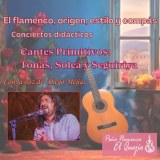 Ciclo El flamenco, origen, estilo y compás. Conciertos didácticos