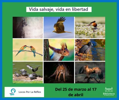 Vida salvaje