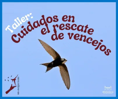 vencejos