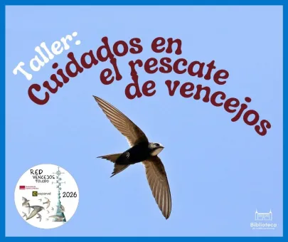 vencejos
