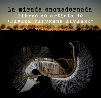 la mirada encuadernada