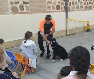 Taller 8