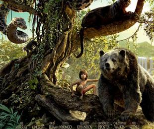 Cartel pelicula