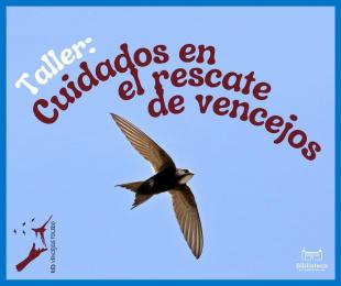 vencejos
