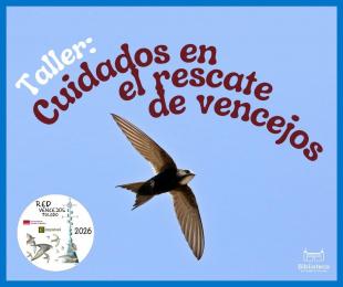 vencejos