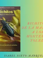 Bichitos