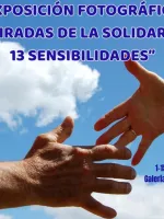 13 sensibilidades