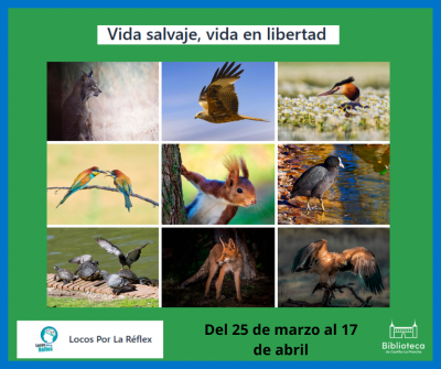 Vida salvaje, vida en libertad